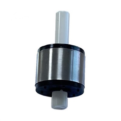 Booster Pump Motor Rotor Magnet